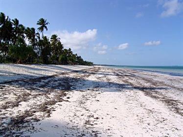 Beach walk, Zanzibar, DSC06862b